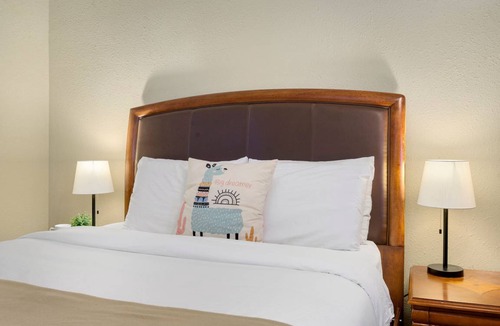 Loveland Apartment | 33 m² Apartment ∙ 1 bedroom ∙ 3 guests