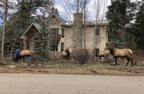 Estes Park House | 372 m² House ∙ 4 bedrooms ∙ 10 guests