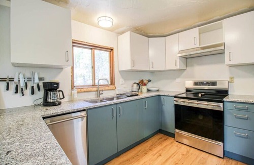 Leadville North Cabin | 3BR Cozy Cabin - Tranquil Forest - Pet Friendly
