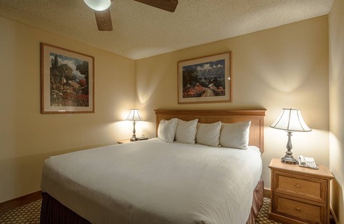 Crested Butte Condo | 41 m² Condo ∙ 1 bedroom ∙ 4 guests