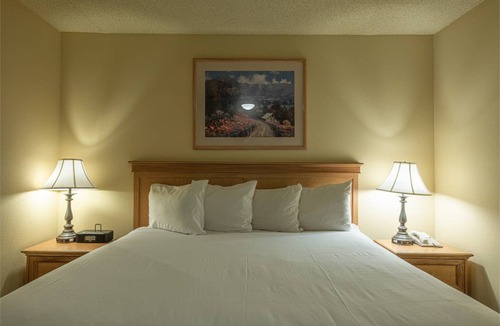 Crested Butte Condo | 41 m² Condo ∙ 1 bedroom ∙ 4 guests