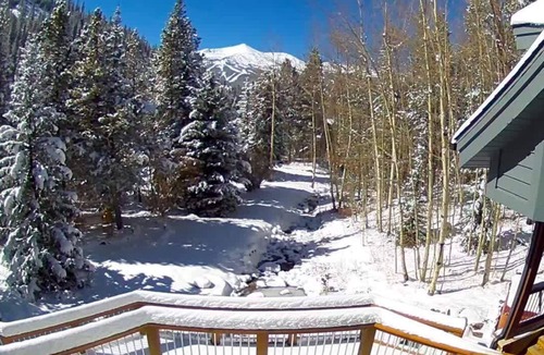 Baldy Mountain House | 5 Bdr Home Close to Peak 9, Huge Yard, Creek and Aspen Grove,