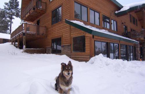 Pagosa Springs Bed & Breakfast | 56 m² Bed and breakfast ∙ 6 guests