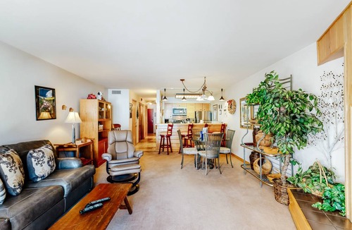 Mountain House Condo | 81 m² Condo ∙ 1 bedroom ∙ 4 guests