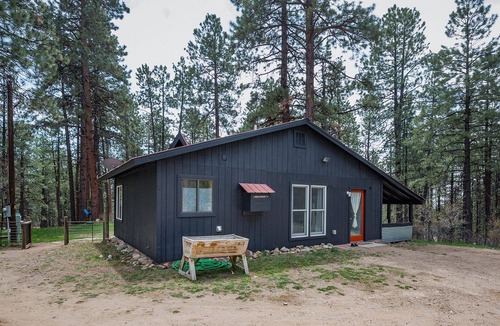 Forest Lakes Cabin | Adventure Basecamp Cabin is Near Lakes, Wooded Setting, Small Dog OK