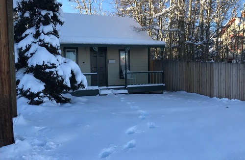 Leadville North Cabin | Air Capitol Cottage Leadville -great location-backyard-great for kids & pets