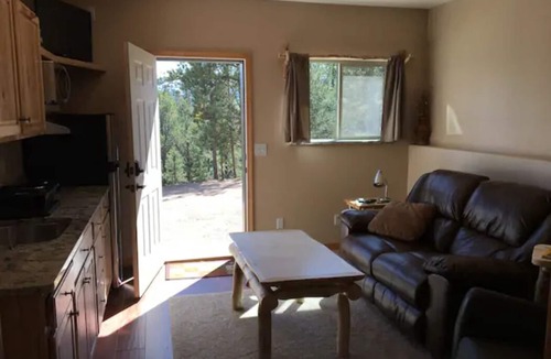 Divide Apartment | Amazing secluded apartment on 27 acres with Pikes Peak view