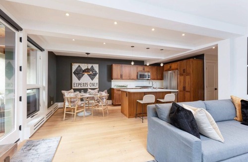 Aspen Apartment | Aspen Core Renovated 2 BR, 2 BA with AC