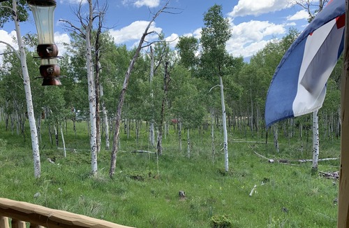 Michigan Hill Cabin | Aspen Sunset Log Cabin - surrounded by aspen trees & gorgeous views