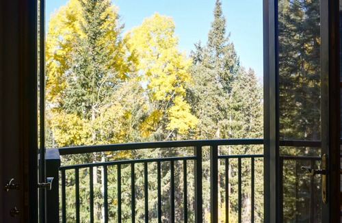 Mountain Village Condo | Bear Creek Lodge - 1 Bedroom with Forest View