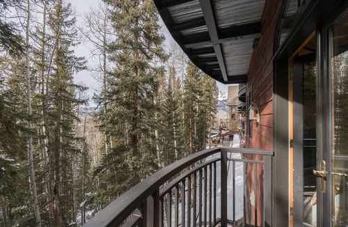 Mountain Village Condo | Bear Creek Lodge 301a 1 Bedroom Condo by Alpine Lodging Telluride