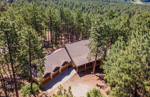Forest Lakes House | Bear Hug Retreat! 3BD/3BA Tranquil Mt Home