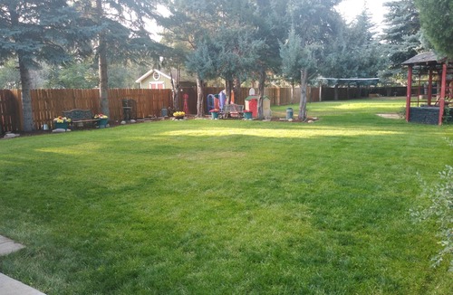 University Acres House | Beautiful 4 bedroom 2 bath home!