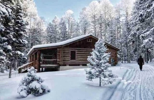 Cimarron Cabin | BEAUTIFUL MOUNTAIN LOG CABINnPETS ALLOWED