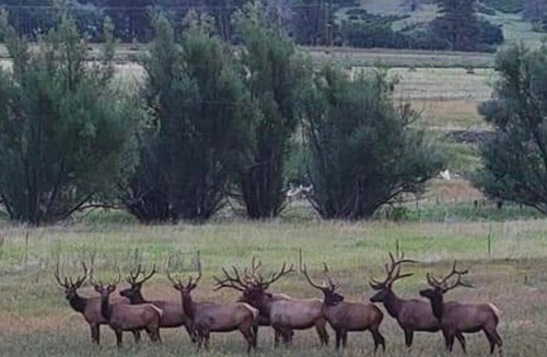 Beulah House | Beautiful Views, Secluded, Pet Friendly