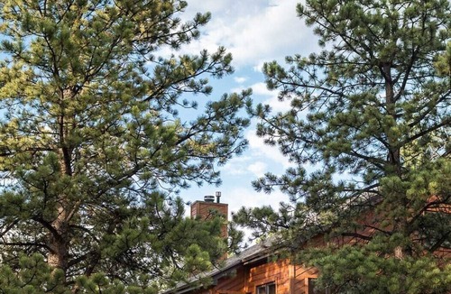 Aspen Brook Cabin | Beautifully Furnished, Clean and Cozy Cabin Next to Rocky and Near YMCA