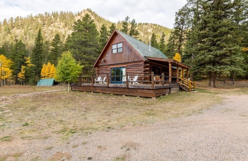 Almont Cabin | Beautifully Remodeled Cabin tucked away in the wonderful Spring Creek Area!