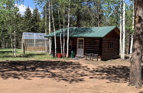 Divide House | Best L'il Bunkhouse on 40 Wooded Acres