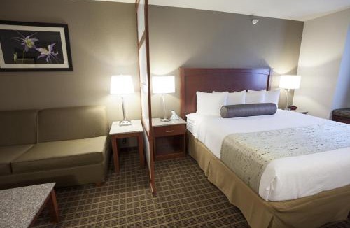 Briargate Hotel | Best Western Plus Peak Vista Inn & Suites