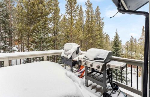 Breckenridge Heights House | Breckenridge Mountain Retreat with Grill and Views