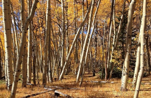 Warm Springs House | Centralized Mountain Getaway Very Close to Breckenridge