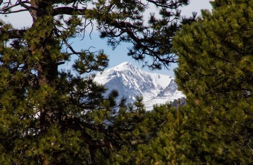 Estes Park House | Chapin Lane