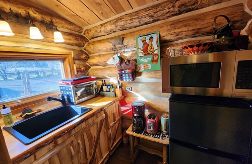Lewis Cabin | Charming cabin good for a couple @ Canyon of the Ancients Guest Ranch