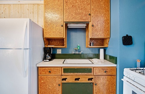 South Fork Cabin | Charming dog-friendly getaway great for small groups with firepit & free WiFi