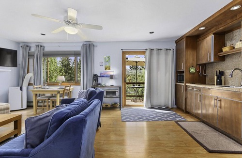 Carbondale Apartment | Charming Studio with Mtn.Views,Walk to Dwntwn