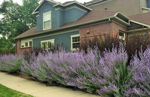 Lowry Field House | Charming Townhouse Close to Parks and the Lowry Town Center