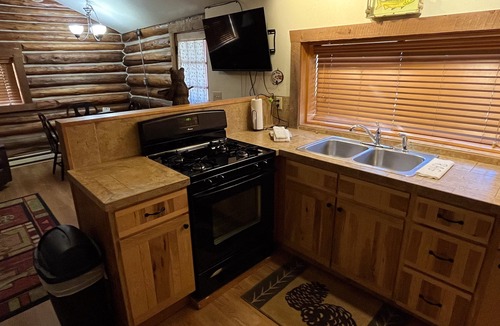 Almont Cabin | Charming "Vintage" Style Mountain Cabin Under the Pines