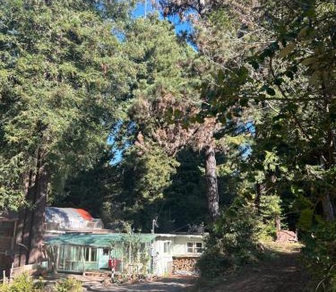 Almont House | Chillshack