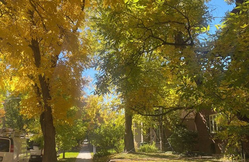 City Park Apartment | City Park - Newly renovated, cozy 2-bedroom, basement apartment with AC, WiFi