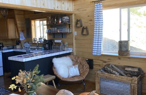 Creede Cabin | Clean cabin amid Nat Forest with private creek access, Wi-Fi, and pet friendly!