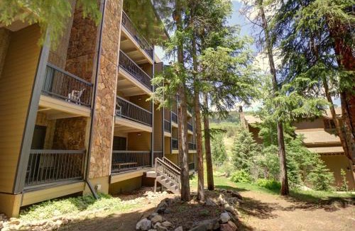 Copper Mountain Village Apartment | Cm236 Copper Mtn Inn Condo