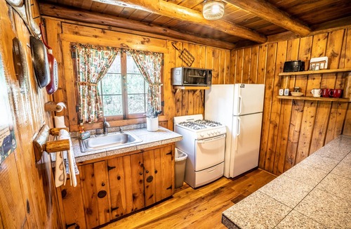 Evergreen Cabin | Colorado Bear Creek Cabin 4