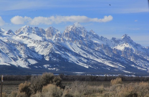 Littleton House | Colorado Living at it's best, located in the foothills outside of Denver