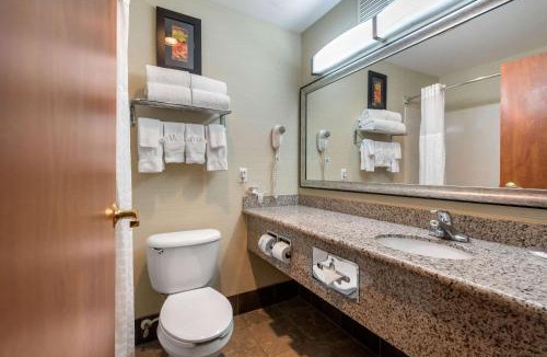 Englewood Hotel | Comfort Suites Denver Tech Center