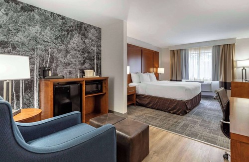 North Central Evergreen Hotel | Comfort Suites Golden West on Evergreen Parkway
