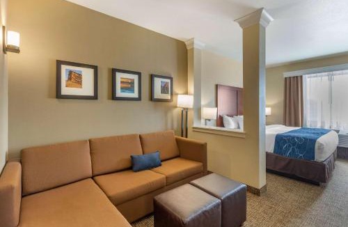 Sun Valley Hotel | Comfort Suites Near Denver Downtown