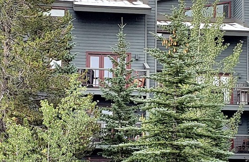 Wildernest Condo | Comfortable, Affordable Condo, 2 BR + Loft, 3 BA Close to Attractions & Shuttle