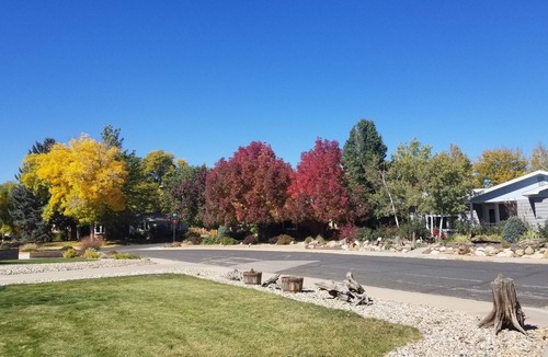 Loveland House | Comfy place to relax and connect, one mile from downtown
