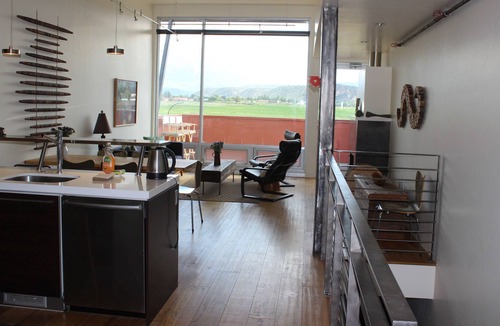Dolores Lofts Condo | Contemporary Carbondale Loft