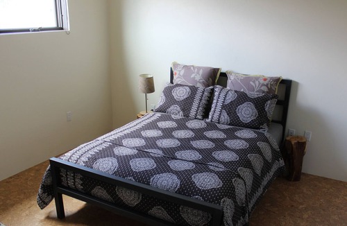 Dolores Lofts Condo | Contemporary Carbondale Loft