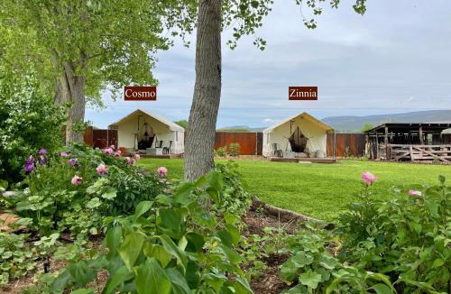 Lazear Other | Cosmo Glamping Tent at Zenzen Gardens