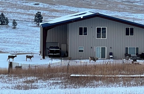 Larkspur House | Country home on scenic, quiet acreage near Monument. Convenient to interstate.