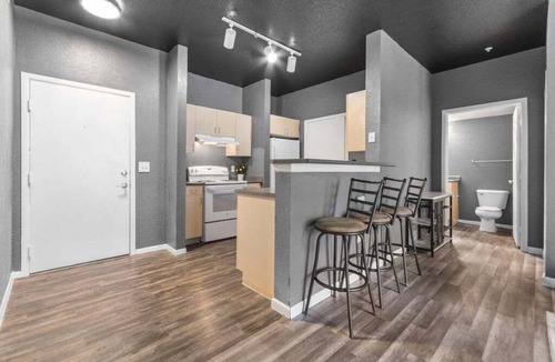Platt Park Apartment | Cozy Apartment in Denver & Urban Retreat