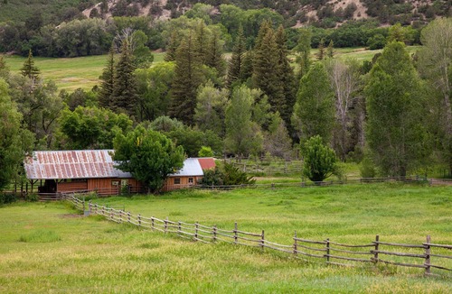 New Castle Cabin | Cozy Bunkhouse and Creekside Sauna Cabin next to the National Forest.
