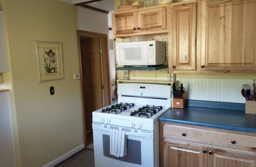 Nederland Cabin | Cozy & Comfortable 1BD Cabin In Nederland ~ Walk to Downtown, Trails & RTD Bus