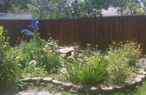 Carbondale House | Cozy Cottage In Downtown Carbondale